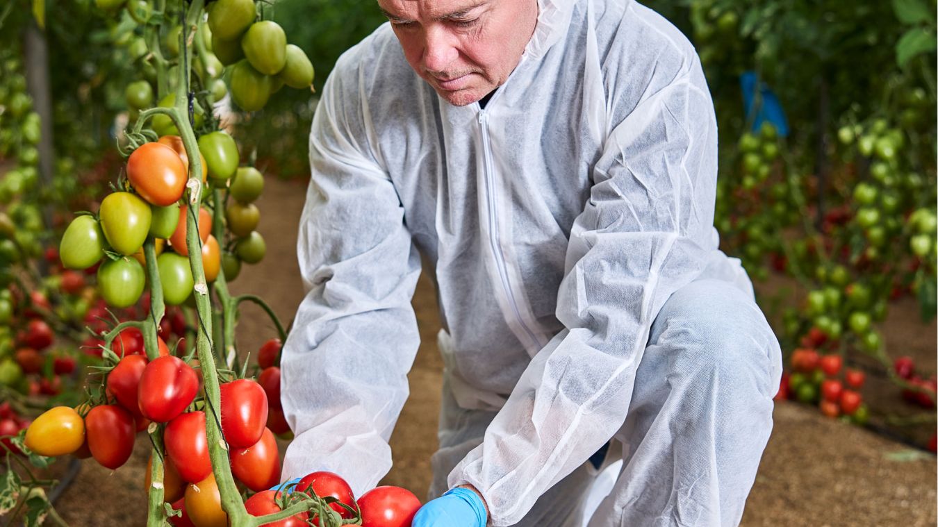 Ofer Ben Zvi - CEO Harmoniz