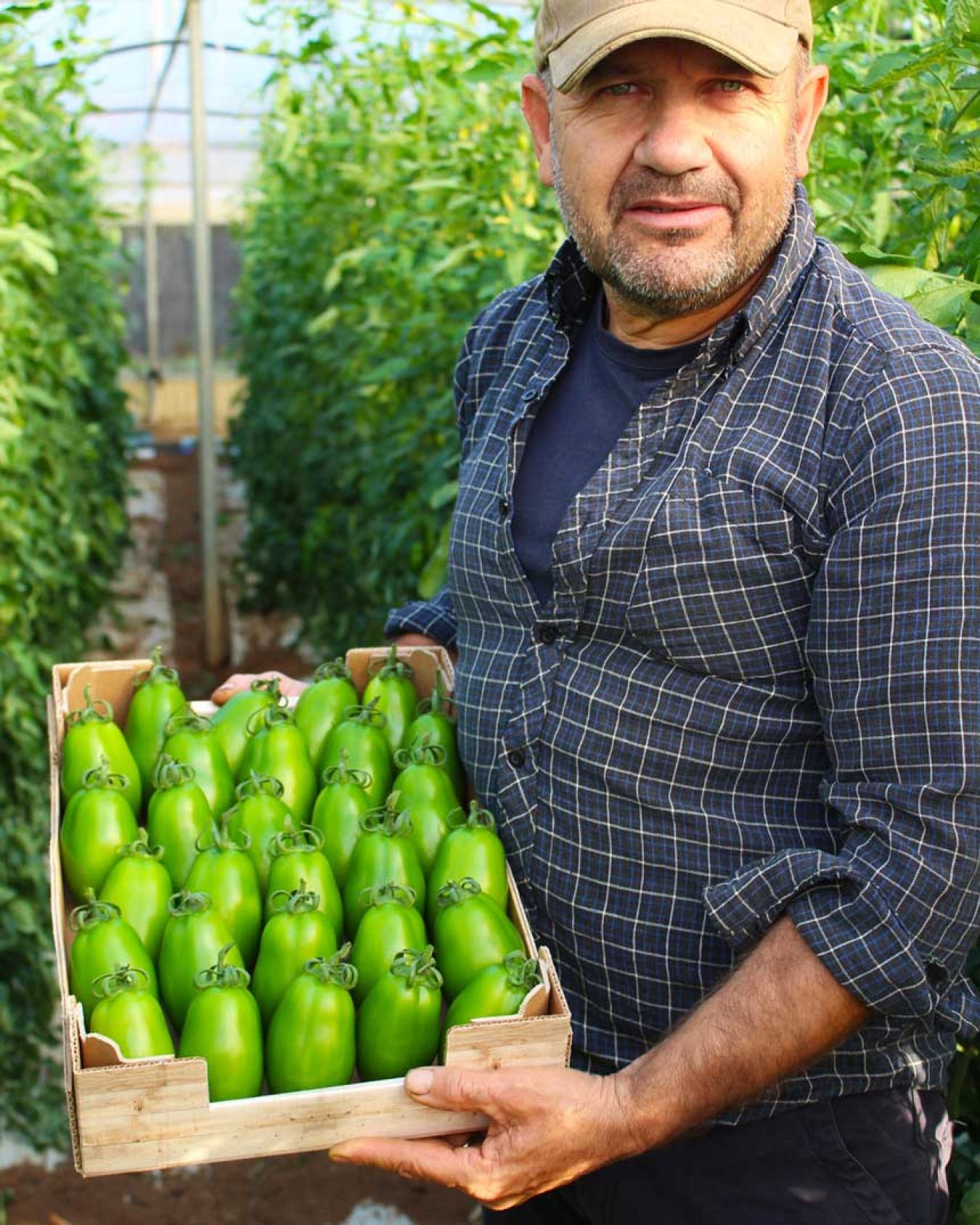 Ofer Ben Zvi - CEO Harmoniz